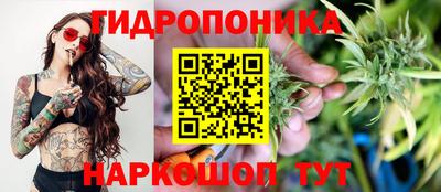 спайс Кинель
