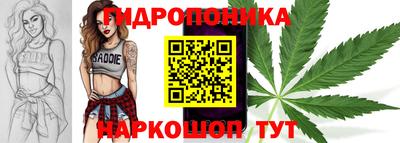 спайс Кинель
