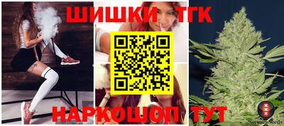 скорость Кингисепп