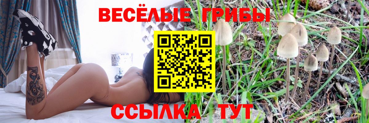 Галлюциногенные грибы Cubensis  Южноуральск  Псилоцибиновые грибы Cubensis 